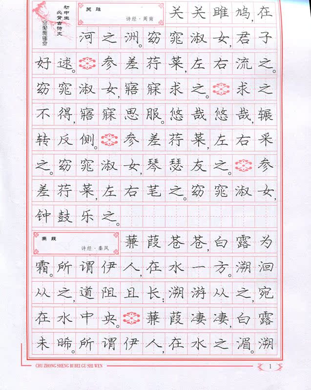 庞中华 初中必背古诗文(楷书)钢笔字帖 初中语文字帖 庞中华字帖 初中