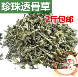 中药材批发 野生珍珠透骨草 正品保障 纯天然无硫500克 2斤包邮