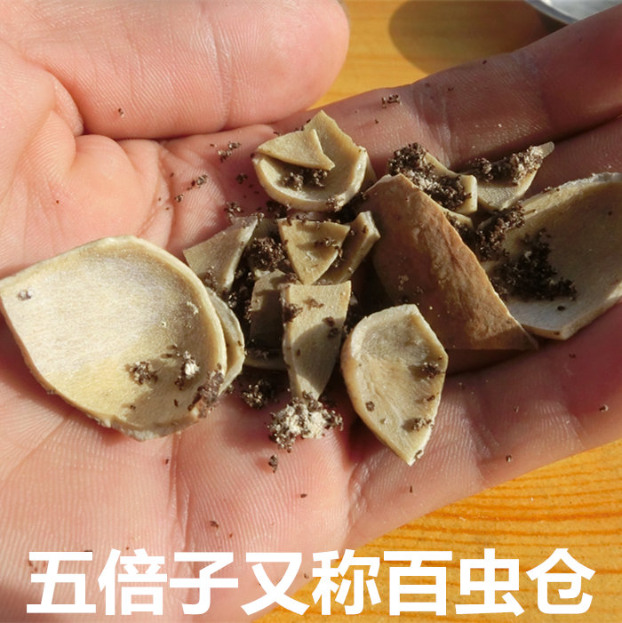 秦岭野生五倍子500克包邮百虫仓 五倍子粉 肚倍 磨粉请留言