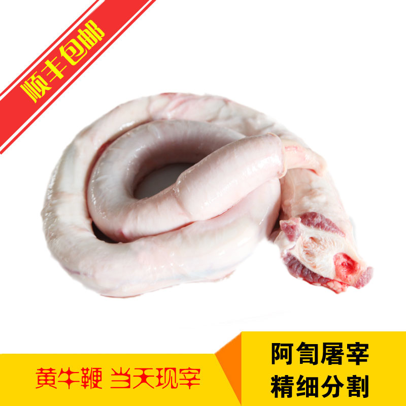 隆昊牛鞭 1000g 新鲜 精修 黄牛鞭   顺丰包邮 生牛肉 新鲜牛杂