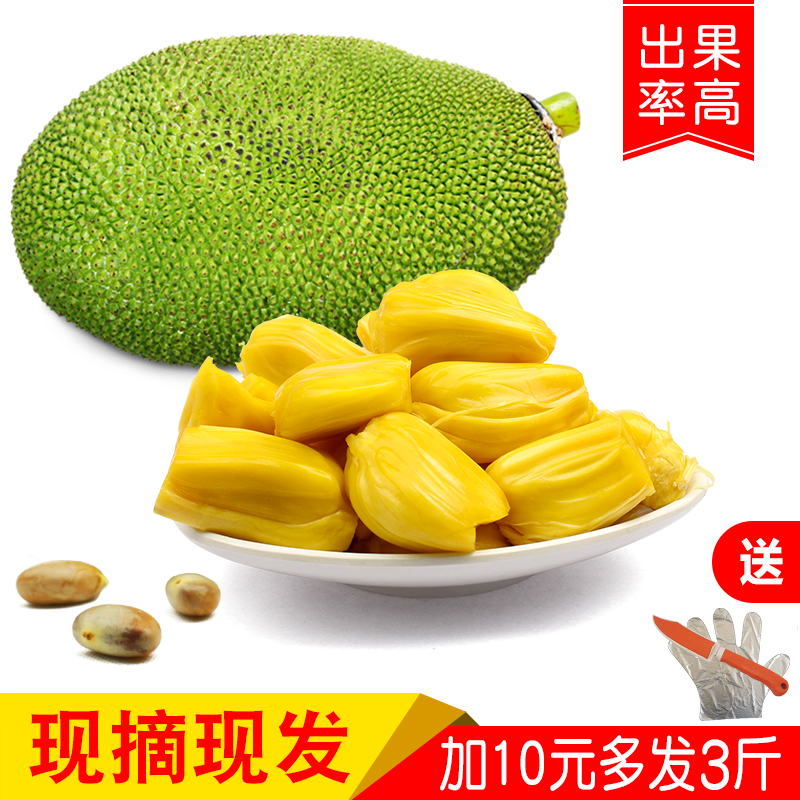 20斤海南三亚菠萝蜜新鲜热带时令水果干苞黄肉木波罗现摘多省包邮