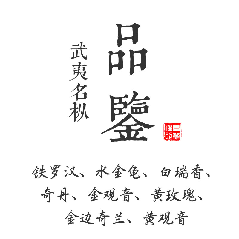 武夷岩茶试喝铁罗汉水金龟百瑞香金观音奇丹金边奇兰黄玫瑰黄观音