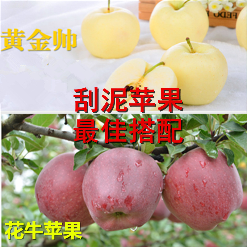 现货礼县苹果花牛黄元帅混合装新鲜水果胜烟台蛇果金帅面苹果刮泥