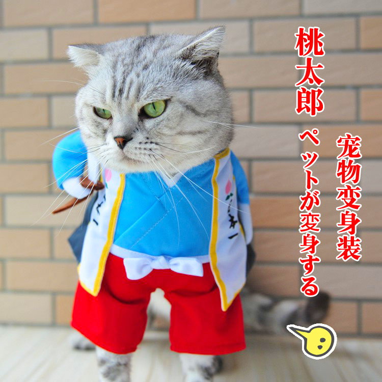 猫衣服宠物秋冬装保暖猫猫的小猫幼猫小型暹罗猫服装可爱猫咪衣服