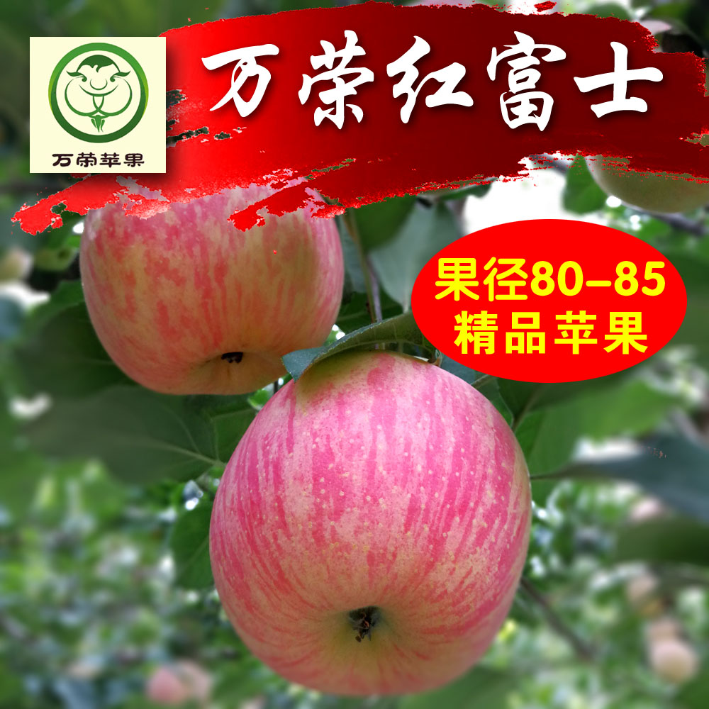中国苹果之都 万荣苹果 纯绿色天然水果 15颗10斤精品装