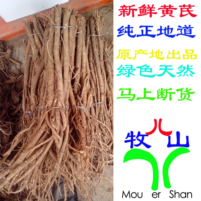 新鲜黄芪湿黄芪带土2016年新产特级无硫无添加 正北芪大条5件包邮