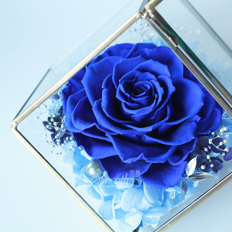 厄瓜多尔蓝色妖姬蓝玫瑰进口永生花礼盒玻璃罩 创意礼物顺丰包邮
