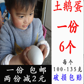 包邮 6枚农家散养新鲜鹅蛋处子鹅蛋孕妇去胎毒土鹅蛋 限时抢购