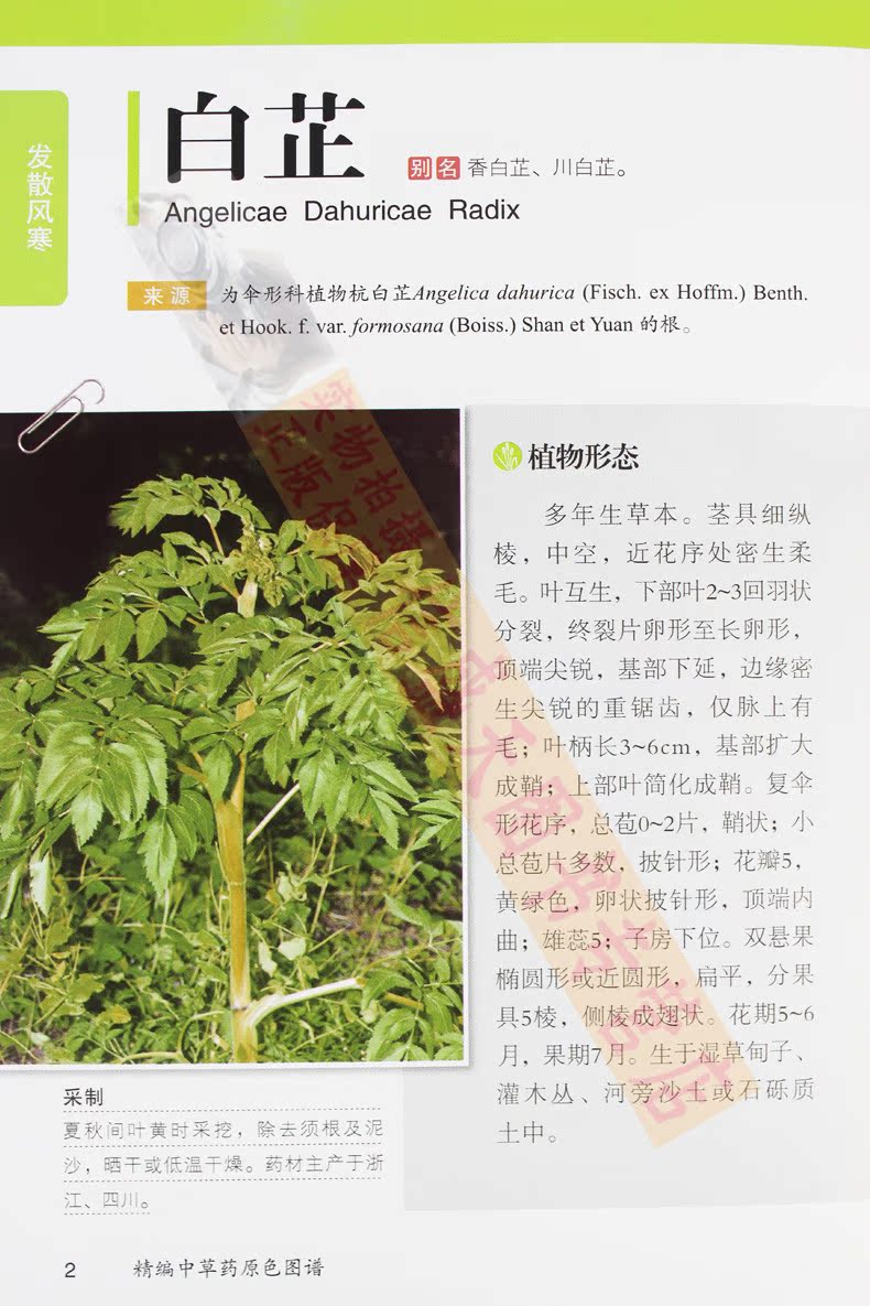 精编中草药原色图谱 全图鉴 本草纲目 中草药大全 草药书神农本草经