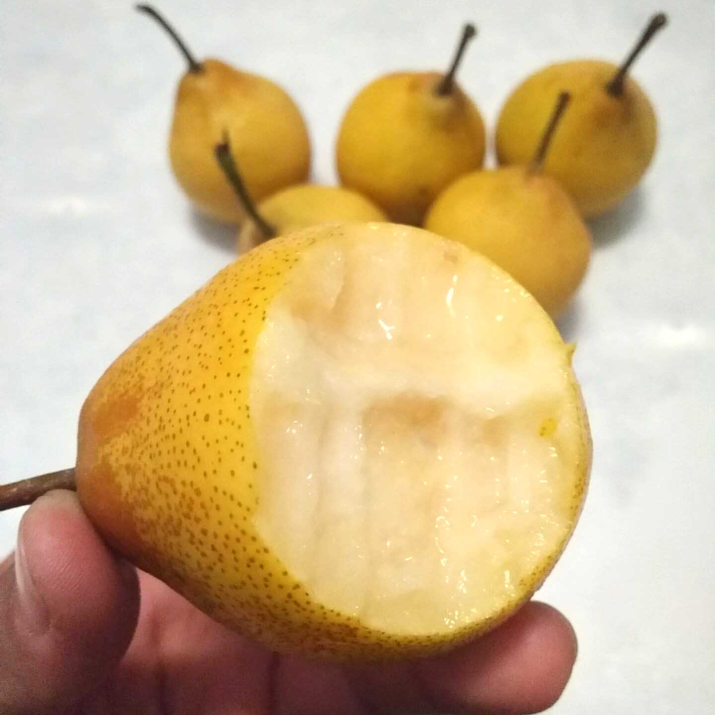 «   ϸ