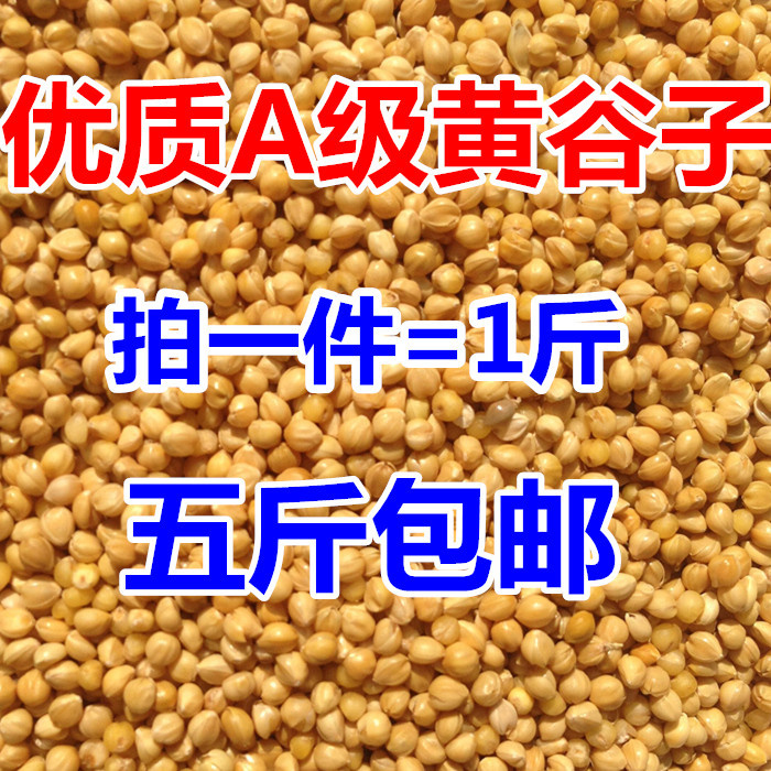 带壳大颗粒小米谷子/虎皮牡丹玄凤/文鸟/鸟食/鸟粮鸟饲料5斤包邮