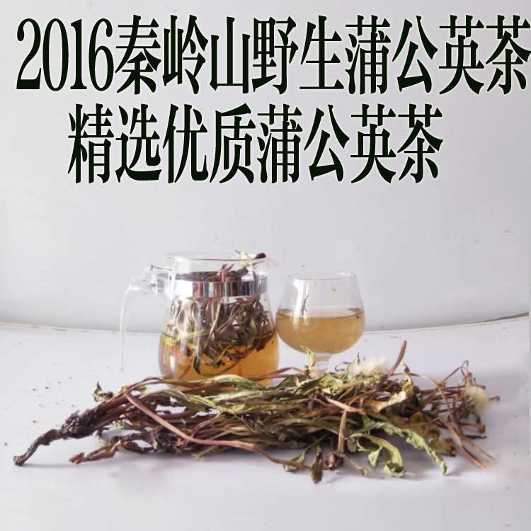 2016野生蒲公英中药材 干货蒲公英茶 婆婆丁蒲公英根茶整颗蒲公英