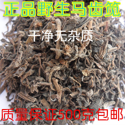 中药材批发马齿苋 野菜马齿笕 马齿菜 五行草 长命菜500克包邮