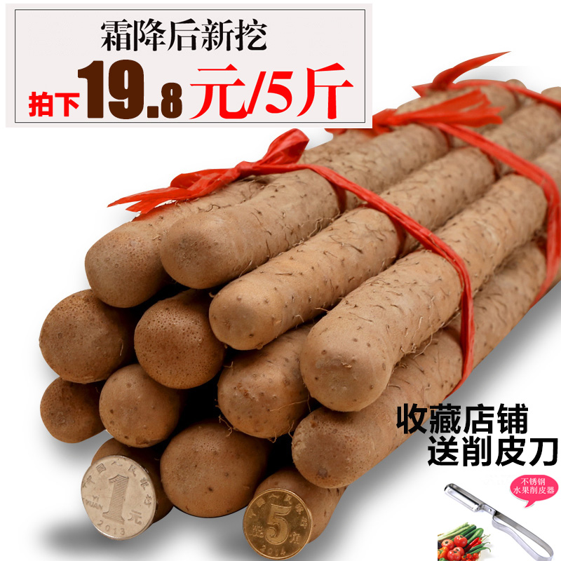 16年新鲜短断小沙土铁棍山药包邮河南正宗焦作铁棍铁杆山药淮山药