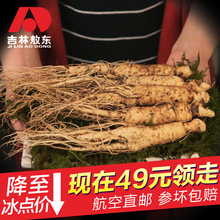 长白山野山参 东北带土鲜人参 吉林敖东新鲜人参煲汤泡酒 买2发3