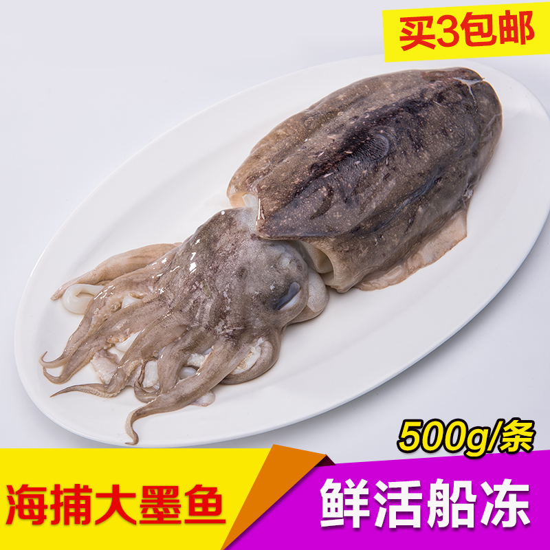 大墨鱼超大鲜活海鲜野生新鲜淡水墨鱼仔干鱿鱼乌贼目鱼八爪鱼章鱼