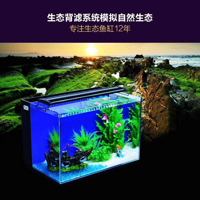 biolife生态鱼缸水族箱小型办公玻璃鱼缸金鱼缸水草造景背滤鱼缸