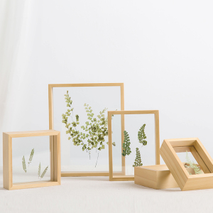 北欧小清新植物标本相框