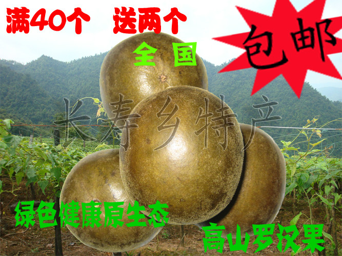16年新产罗汉果广西特级罗汉果茶特大果57-62mm25个起包邮