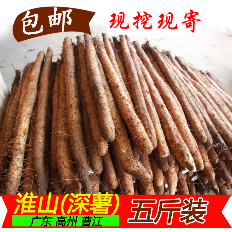 正品[铁棍]大铁棍子相声网评测 大铁棍子图片