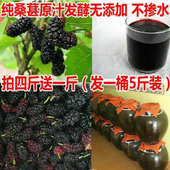 包邮 自制桑葚酒纯原汁发酵无添加拍4斤送一斤 自酿
