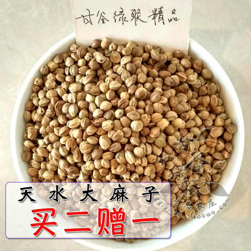 麻子包邮甘肃大麻子天水特产生熟麻子干炒原味火麻子坚果休闲零食