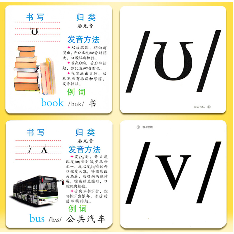 音标卡片小学英语国际音标教学卡片48张英语教程实用大片字母教具