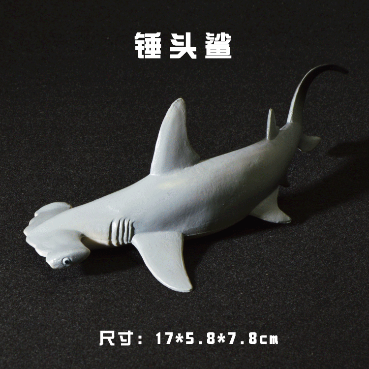 海洋动物塑胶实心模型玩具巨鲨大白鲨锤头鲨蓝鲨儿童礼物
