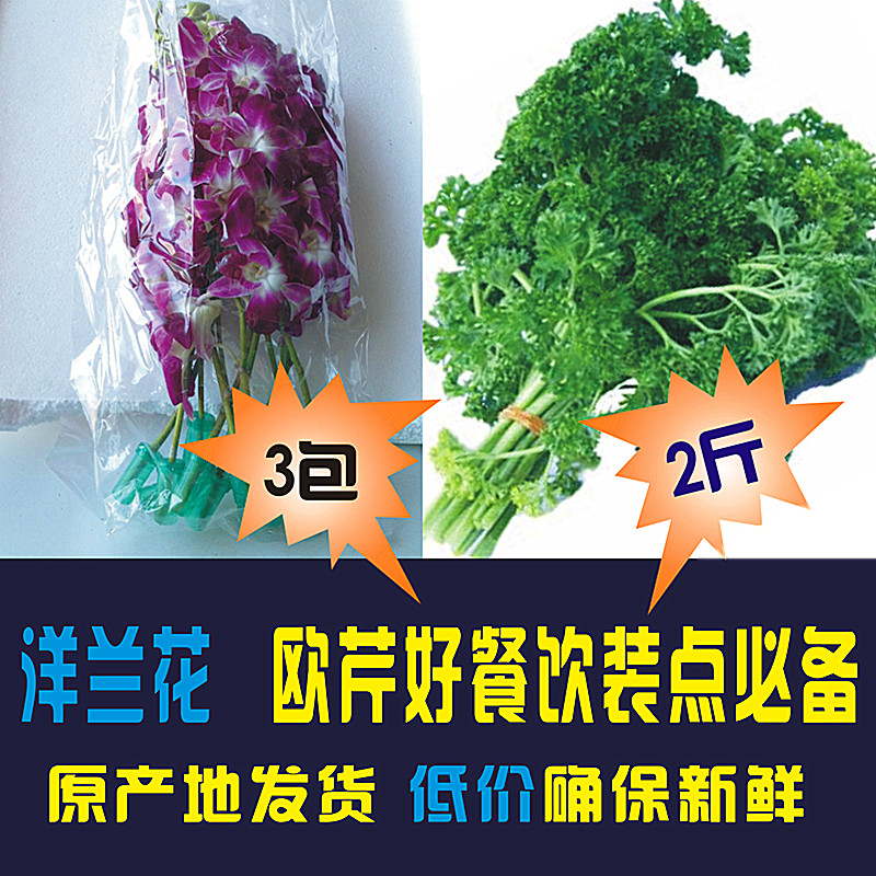 洋兰花3包新鲜欧芹2斤荷兰芹中西餐香料精品蔬菜杨兰花中西餐装点