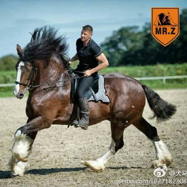 zģ] 2017mr.zսģ֮Ķ1/6ģͿڼ