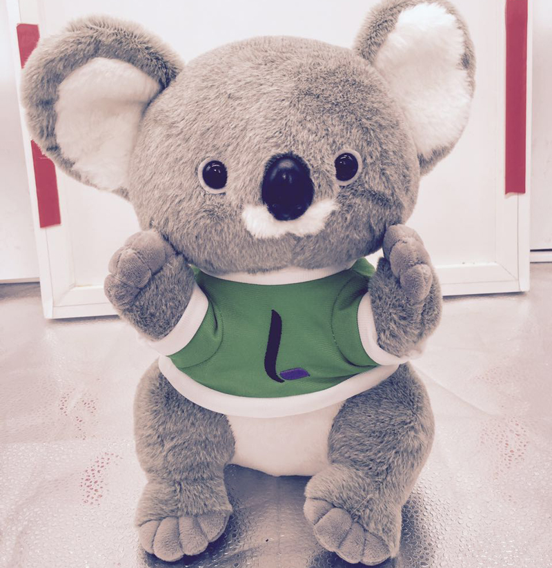 查看淘宝考拉公仔毛绒玩具澳大利亚抱抱熊女生可爱毛绒玩具宝宝儿童树
