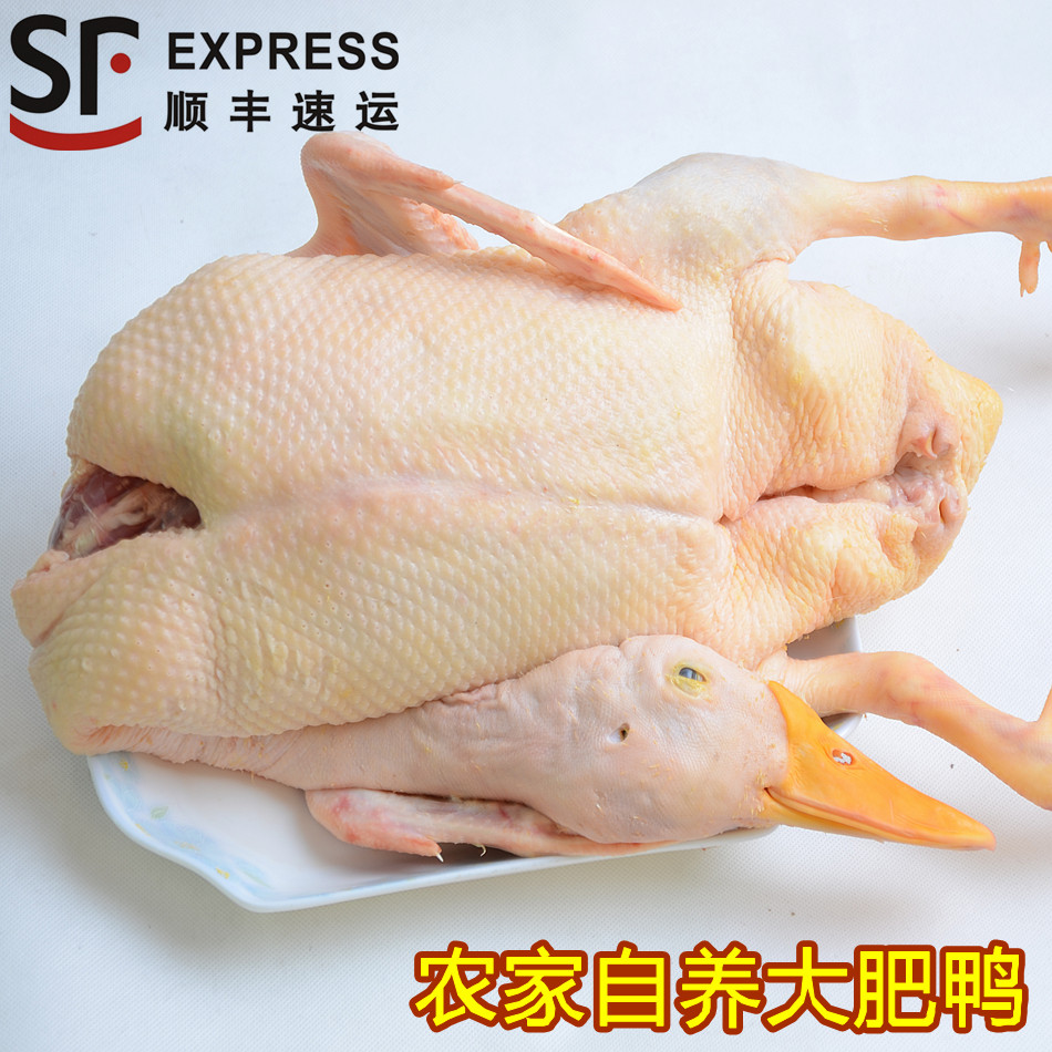 农家自养番鸭红头鸭草鸭老鸭土鸭新鲜鸭肉麻鸭绿头鸭白鸭现杀包邮