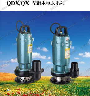 正宗浙江大元潜水泵家用抽水泵农用水泵微型增压高压电动水泵220v