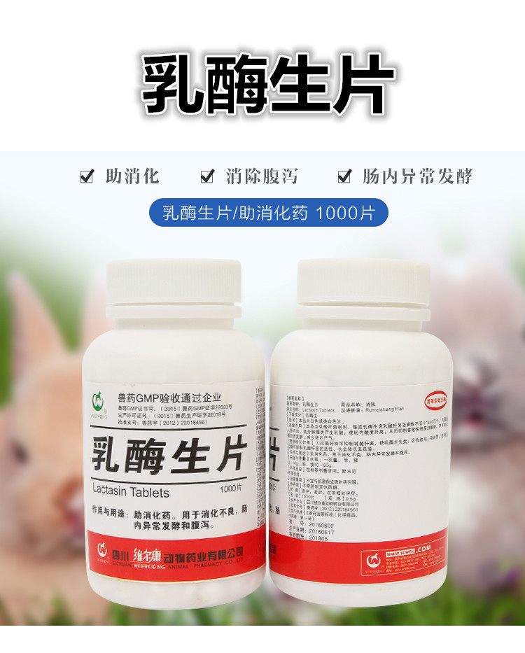 乳酶生片1000粒瓶装兔子龙猫仓鼠豚鼠腹泻胀气消化不良小宠常备药