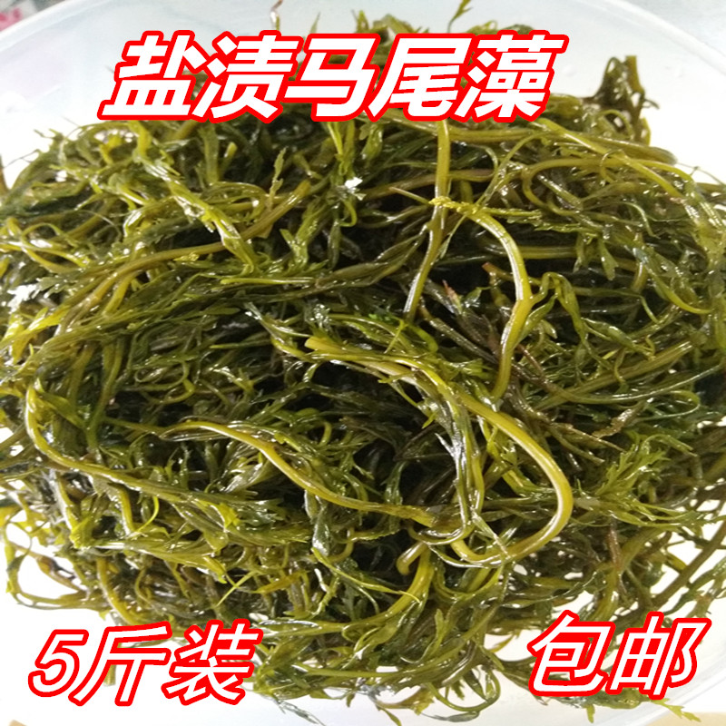 荣成特产野生盐渍马尾藻鞭炮笋长寿菜海藻裙带菜凉拌火锅食材包邮