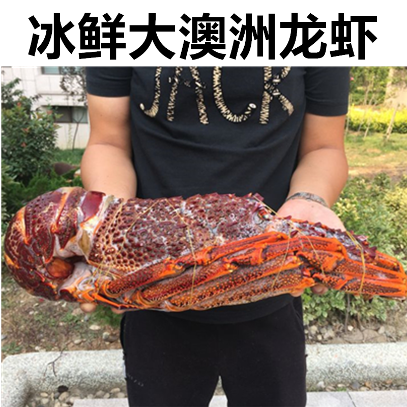 2-4.5斤澳大利亚大龙虾美国红龙大 鲜活鲜冻冰鲜澳洲澳洲龙虾