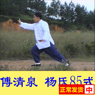 付傅清泉嫡传杨式太极拳教练法-传统杨氏太极拳85式教学-4dvd