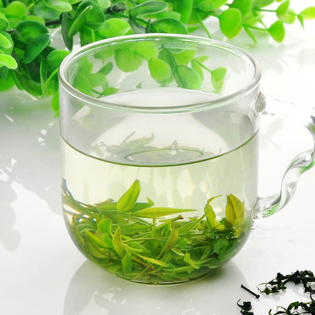 云南特产2016特级 青山绿水茶叶小叶苦丁茶叶产地直销嫩芽250克