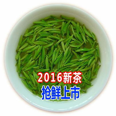 2016新茶 雀舌茶叶 竹本堂绿茶 四川峨眉山明前春茶 250g包邮