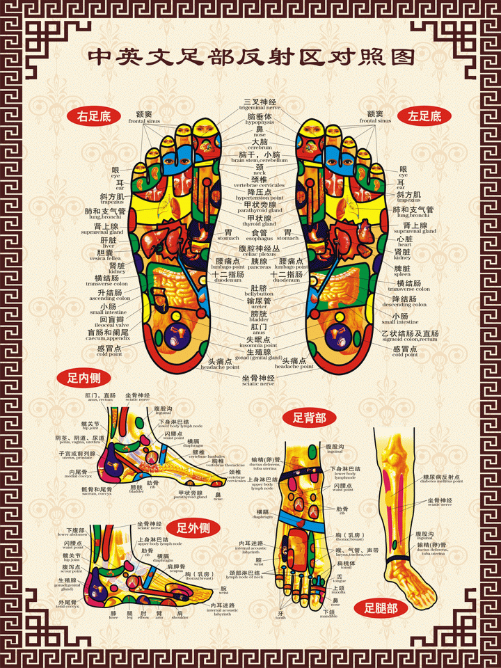 【包邮】人体足部反射区挂图 足部穴位图足底按摩图脚部穴位图画