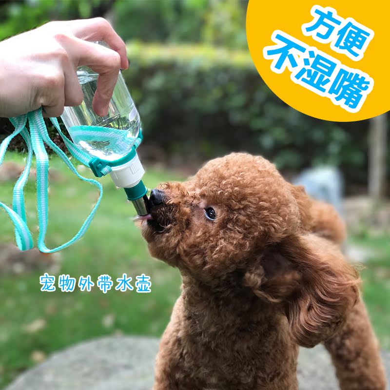 禾其外出水壶宠物挂式饮水器狗饮水机喝水器泰迪便携喂水瓶330ml