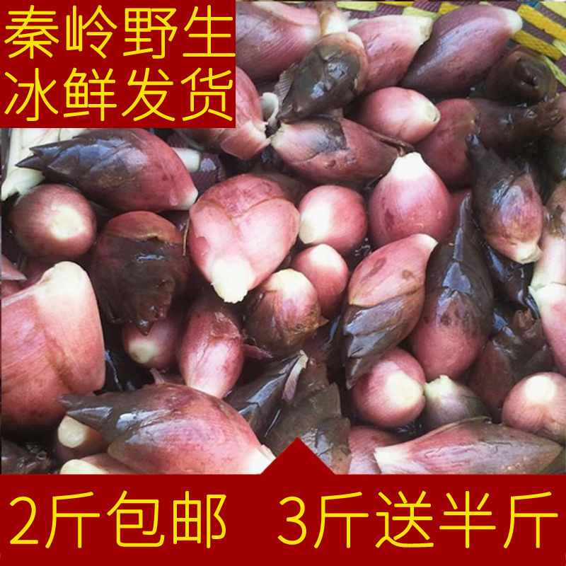茗荷野生洋荷阳合新鲜洋荷阳藿阳荷姜蘘荷洋火洋合笋洋河姜500克