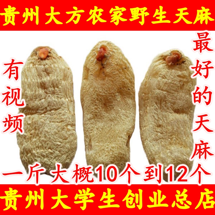 镇店之宝2016贵州农家自种野生大方天麻 野生天麻  500G 十个左右