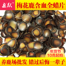 整枝鹿茸蜡片4.8元 克100%正品 血茸全腊片 东北头茬梅花鹿鹿茸片
