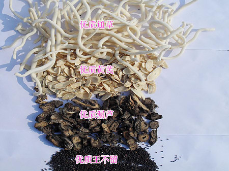 中药材下奶通草漏芦王不留行黄芪 一疗程(6付)一付