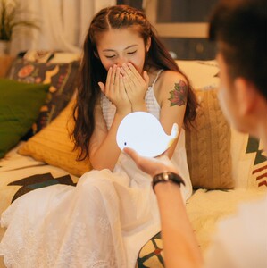 七彩硅胶动物小夜灯