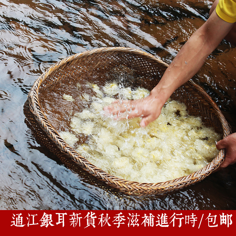 通江银耳白木耳特级银耳野生椴木银耳雪耳银耳特级糯干货中小100g