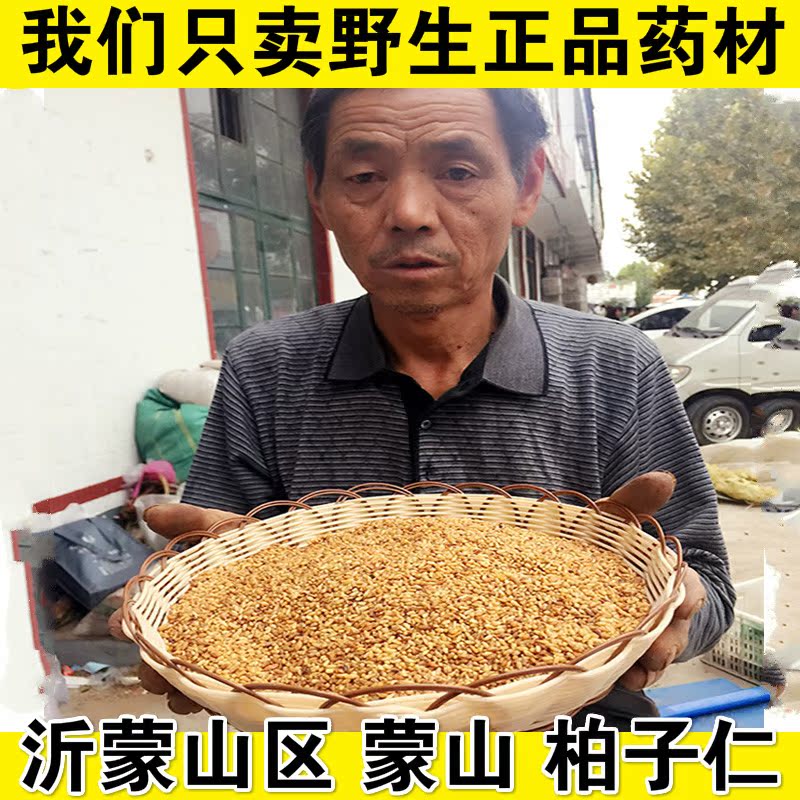 16年沂蒙山区蒙山农民自采野生柏子仁500克包邮正品促销250g装