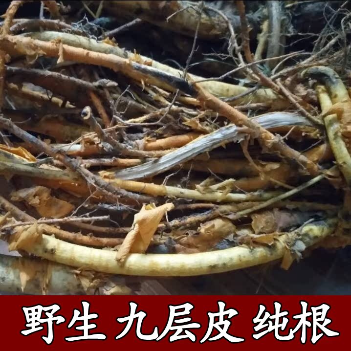 野生穿破石 九层皮 金腰带 剥壳黄蛇根 山荔枝根 柘刺根500克包邮