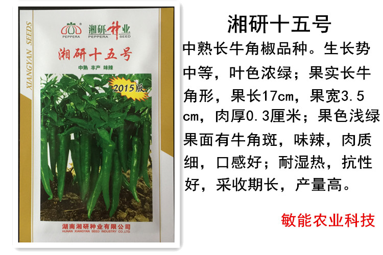 湘研十五号/湘研15号/杂交辣椒种子/中熟/牛角辣椒 2016年新货